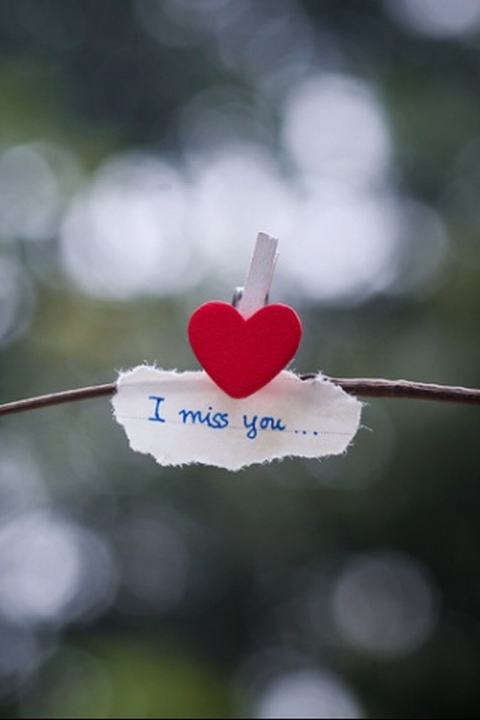 My  Love下载