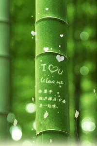 个性创意下载