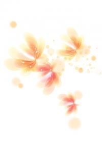 手绘花壁纸 640x960壁纸下载