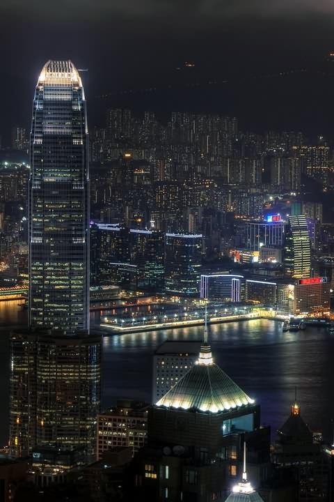 秋意下载