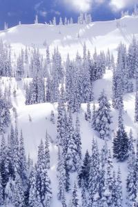 雪花壁纸 640x960下载